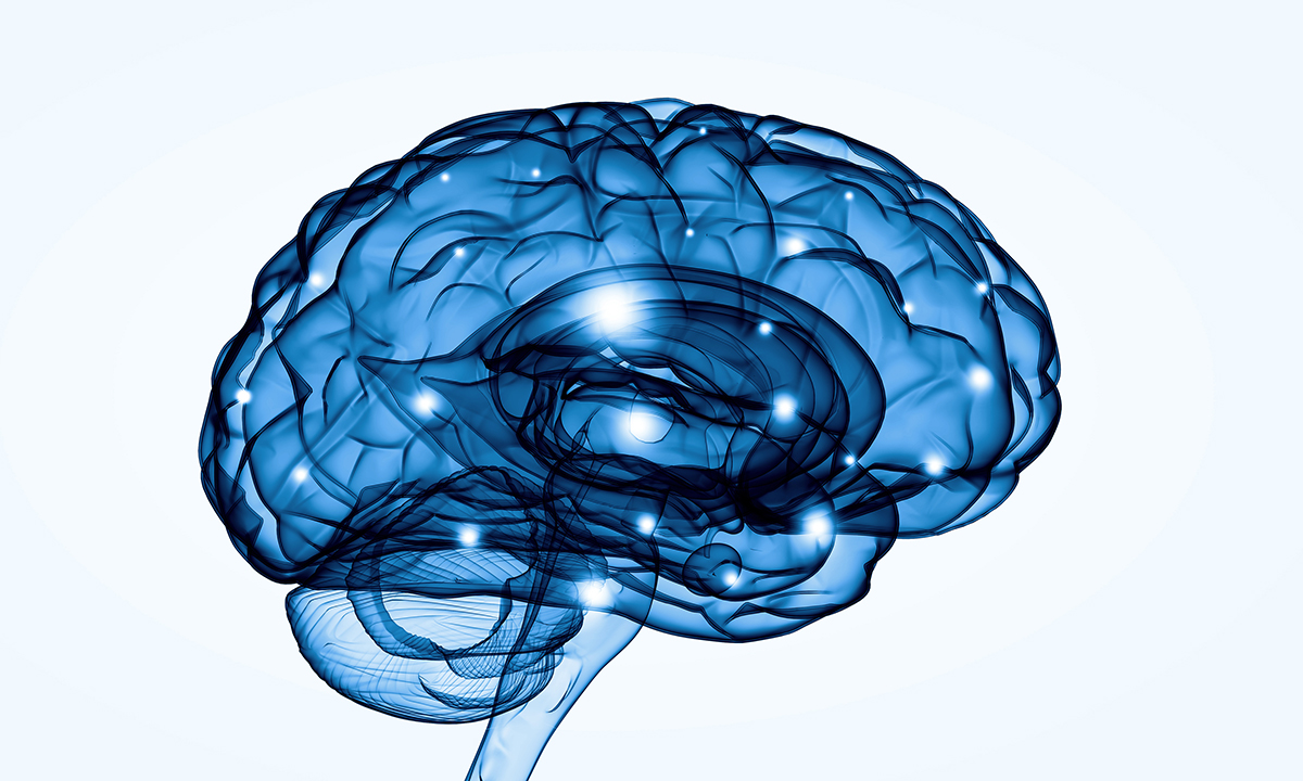 How The Brain Can Heal Itself After Addiction Serene Behavioral Health